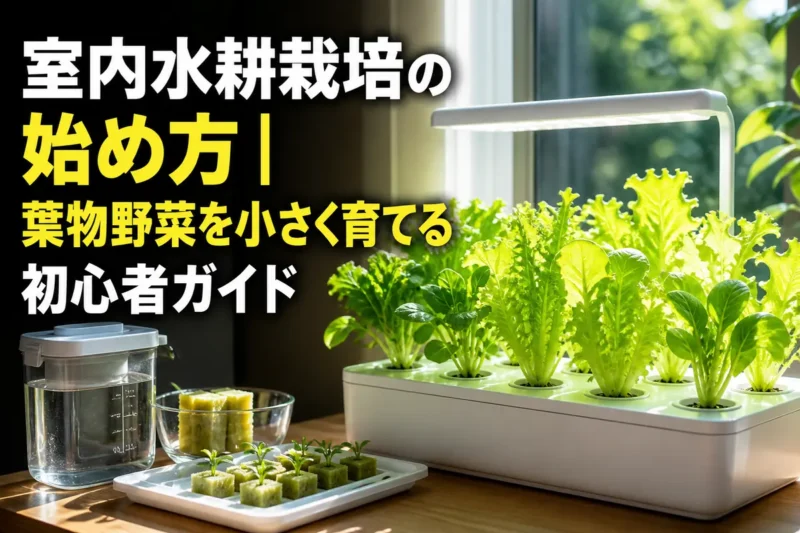 明るい室内の窓辺で葉物野菜を育てる小型水耕栽培の様子。