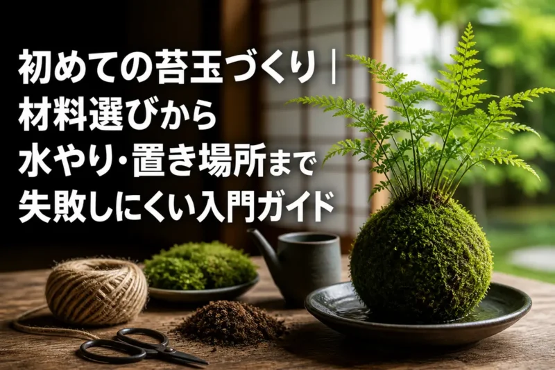 小さなシダを植えた苔玉と基本の園芸道具。