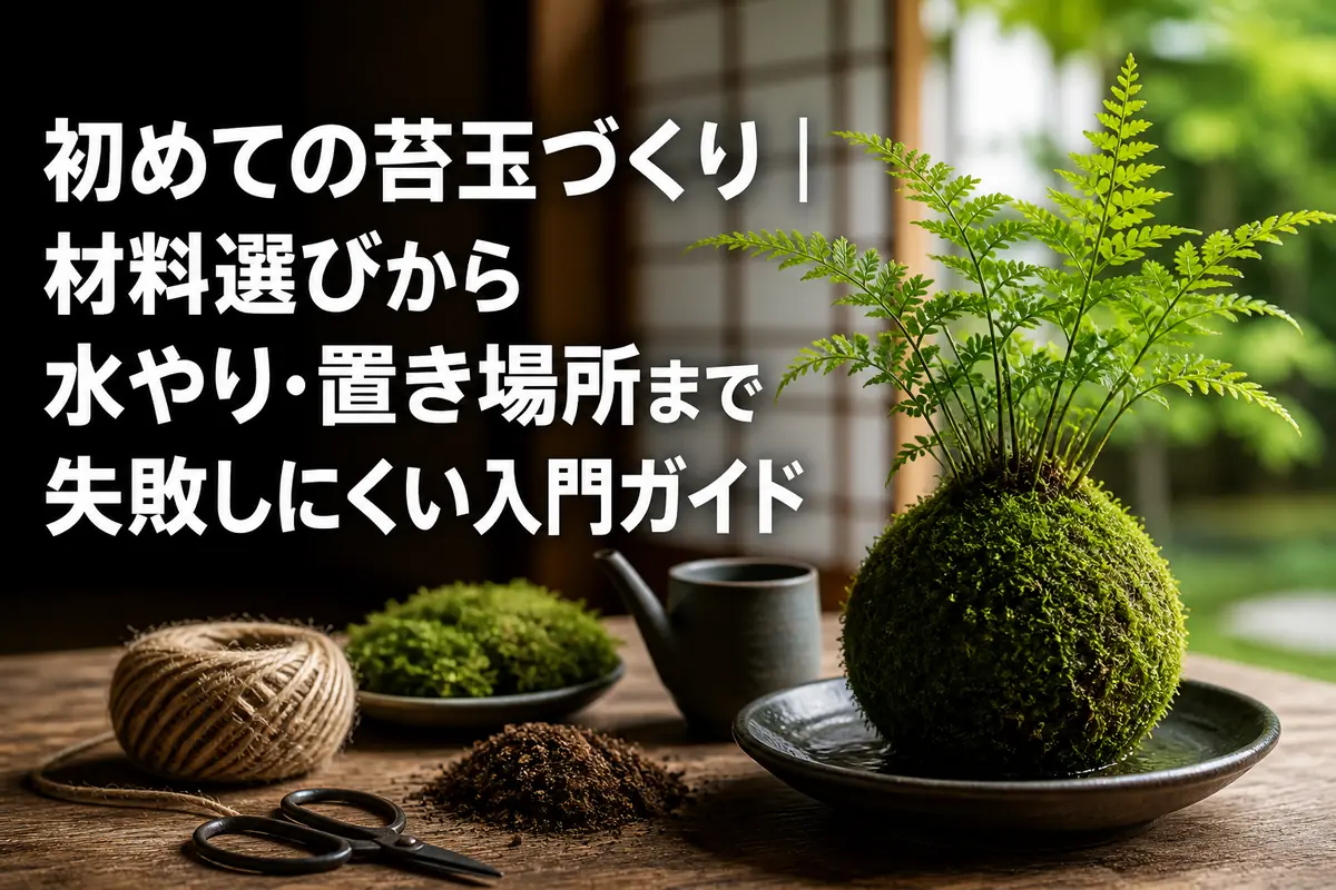 小さなシダを植えた苔玉と基本の園芸道具。